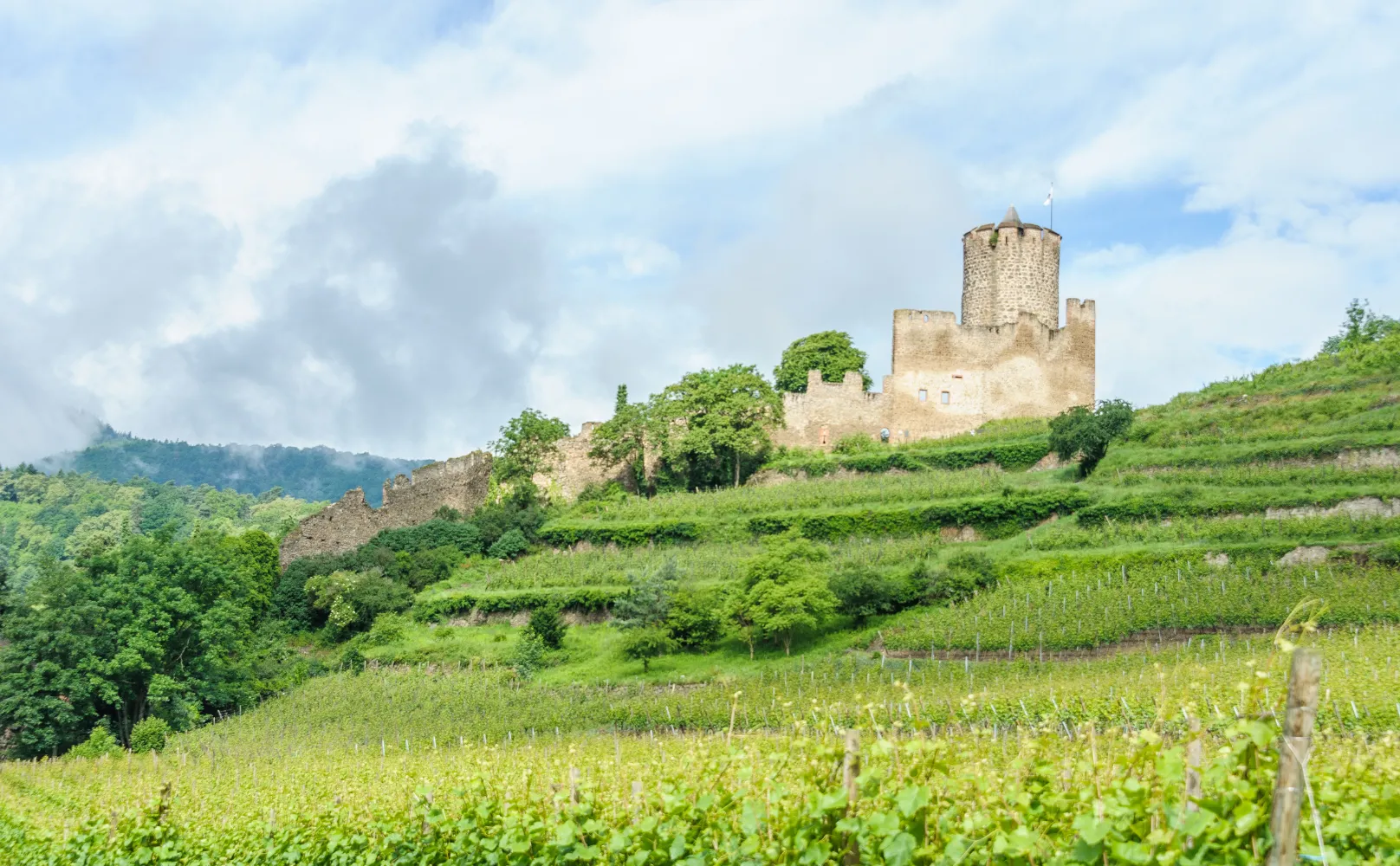 Château de Kaysersberg