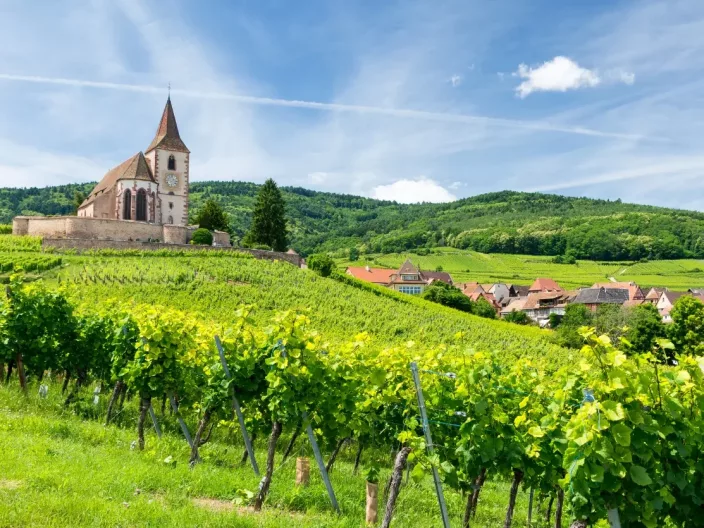 Les plus beaux châteaux d’Alsace