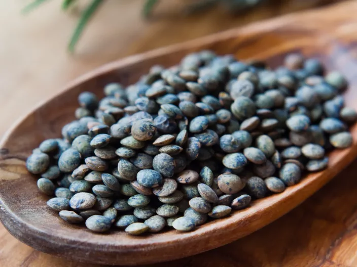 La lentille verte du Puy