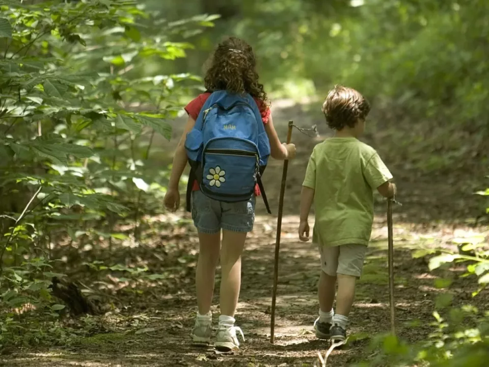 Activités physiques de pleine nature