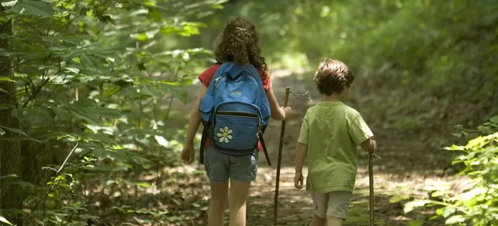 Activités physiques de pleine nature