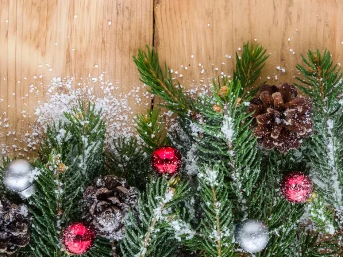 Séjours de Noël et Nouvel An en Ternélia