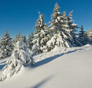 Séjours Noël & Nouvel An