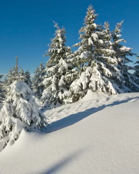 Séjours Noël & Nouvel An