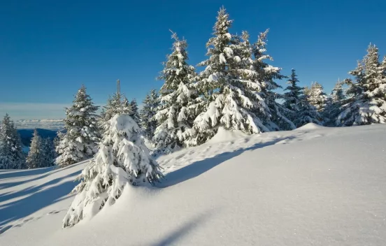 Séjours Noël & Nouvel An