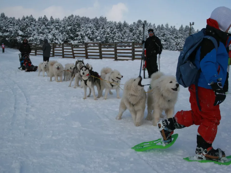Passeport montagnard au Chalet du Ticou