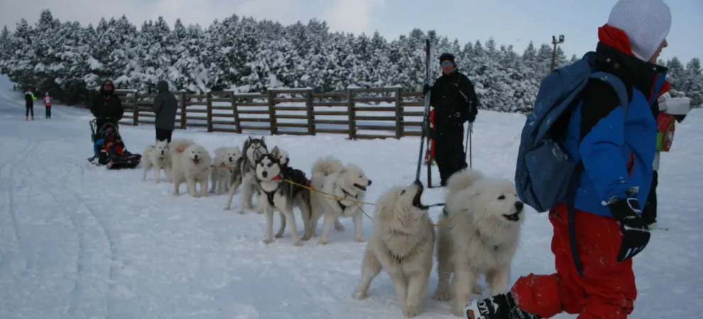 Passeport montagnard au Chalet du Ticou