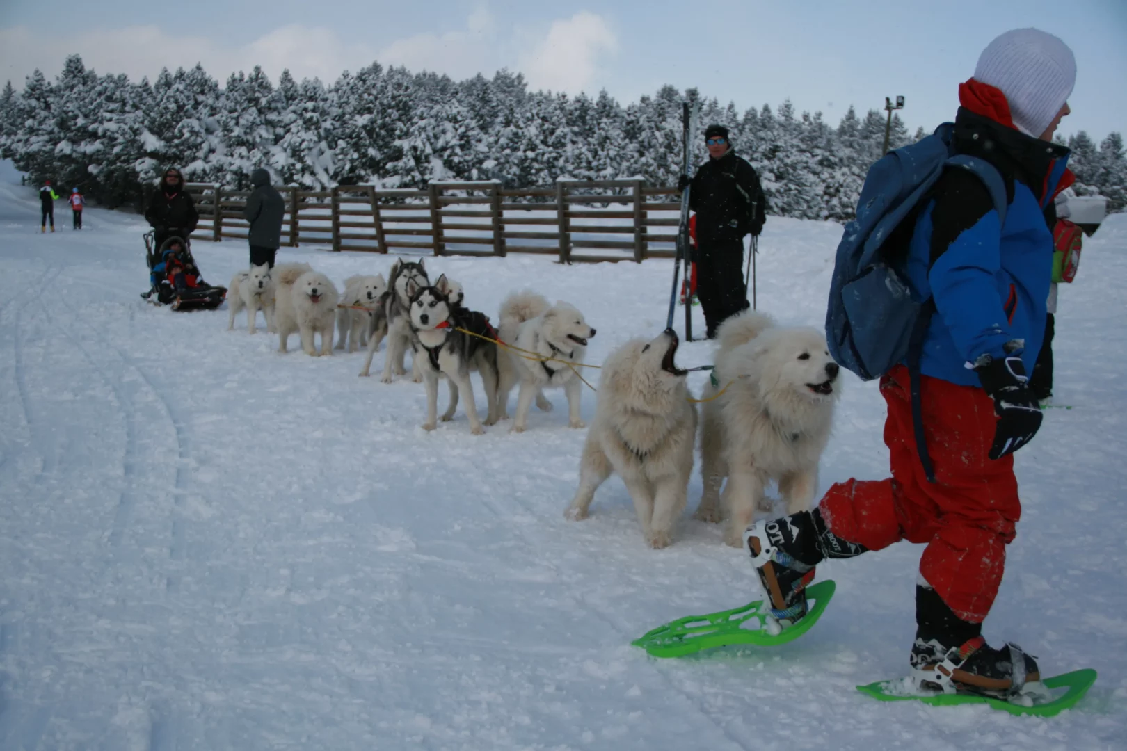 Classe Nordique Ticou