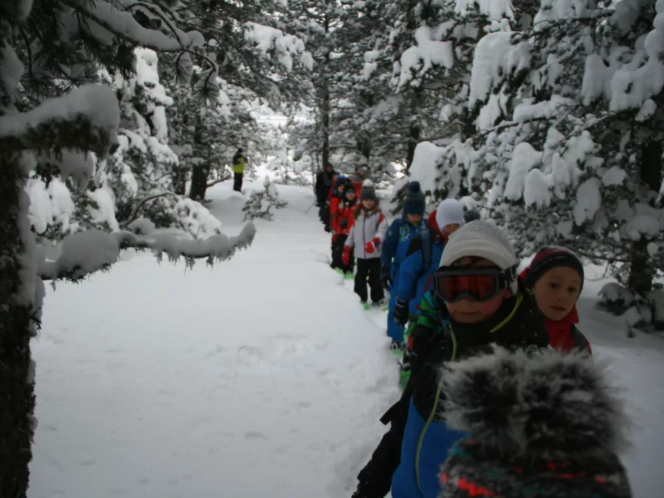 Séjour Nordique au Chalet du Ticou