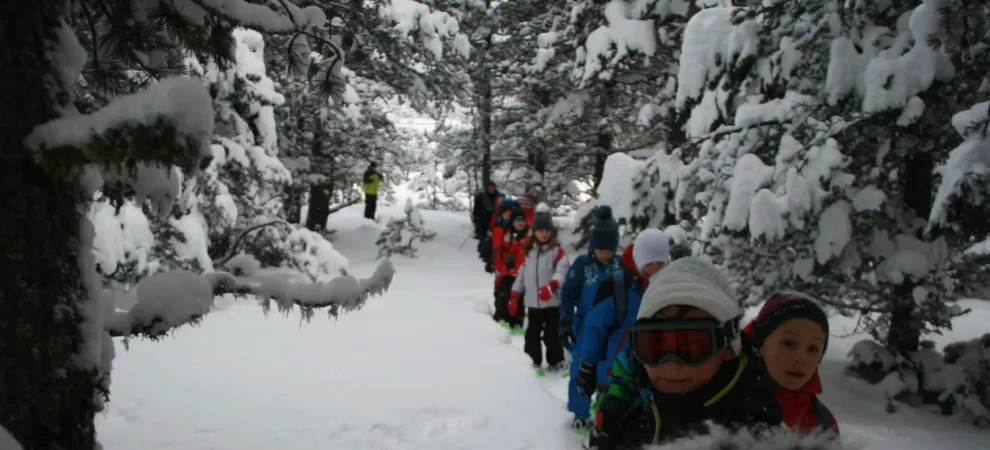 Séjour Nordique au Chalet du Ticou