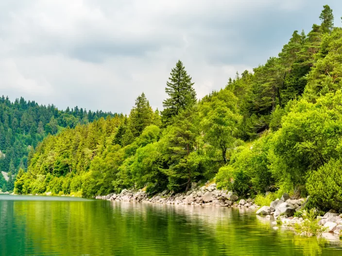 À la découverte du Massif des Vosges