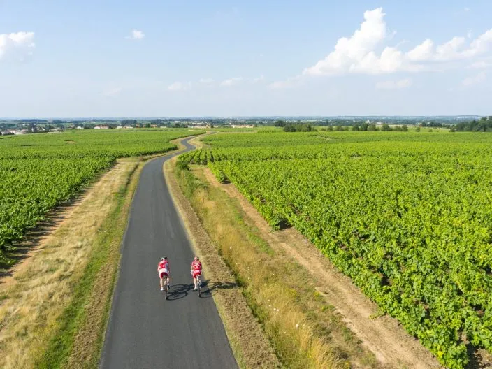 Découvrir le Musée du Vignoble Nantais