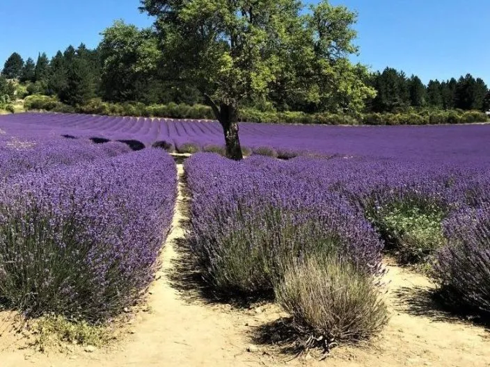 Que faire dans la Drôme ?