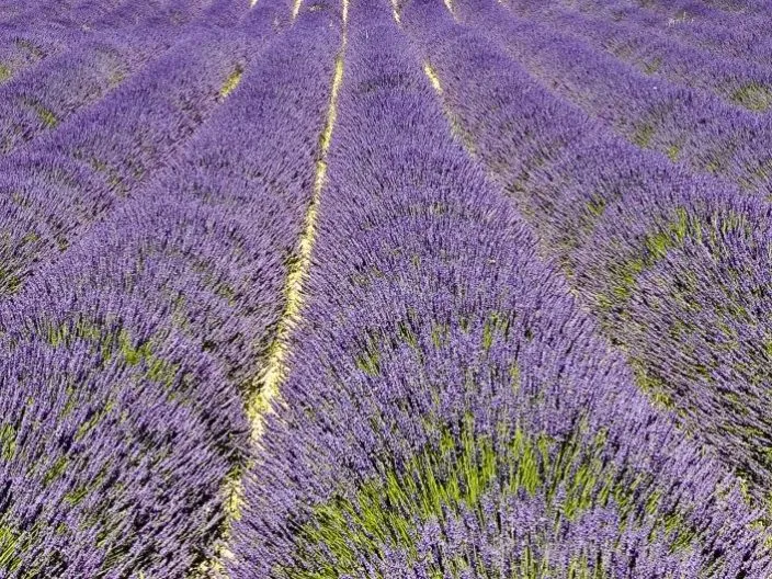 Que faire dans la Drôme ?