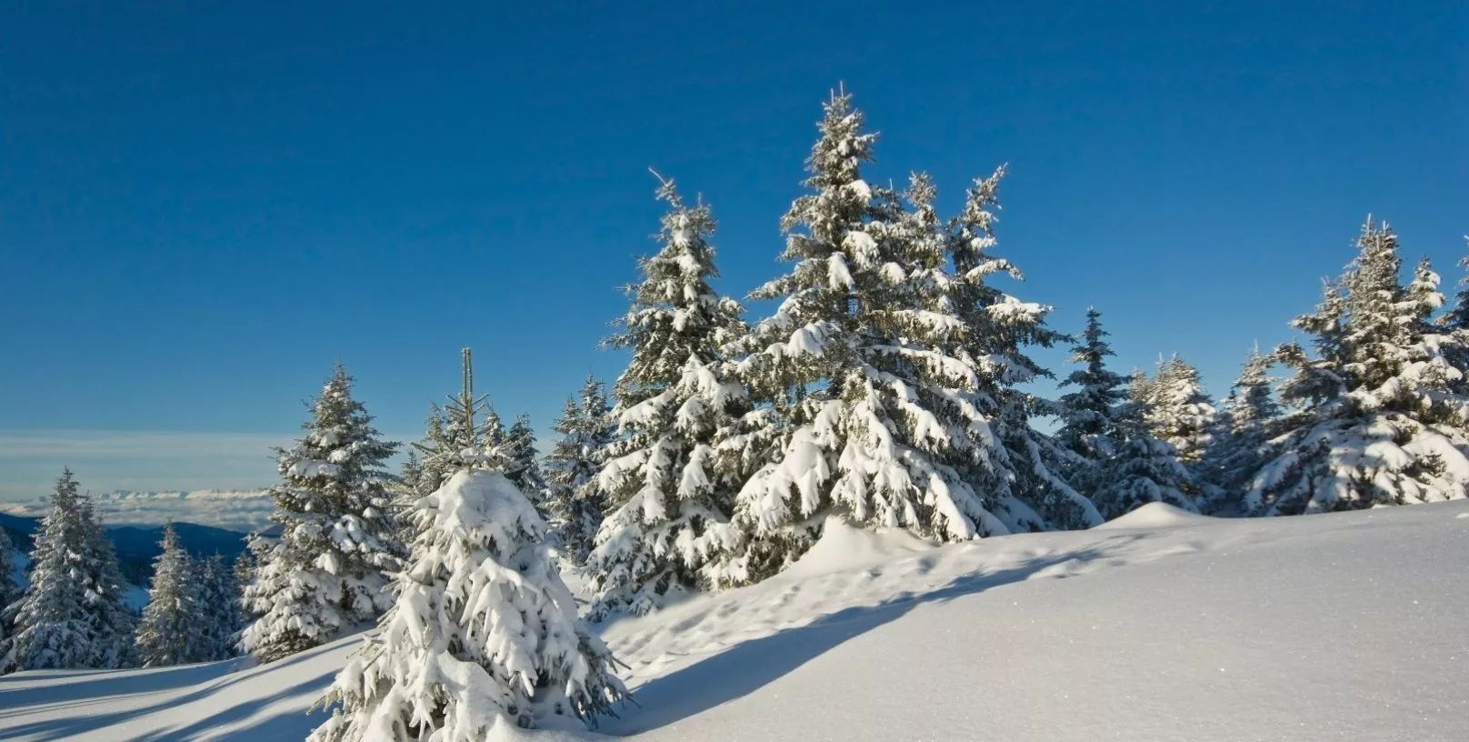 Vacances de février