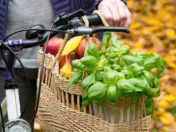 Gastronomie autour de Cabourg