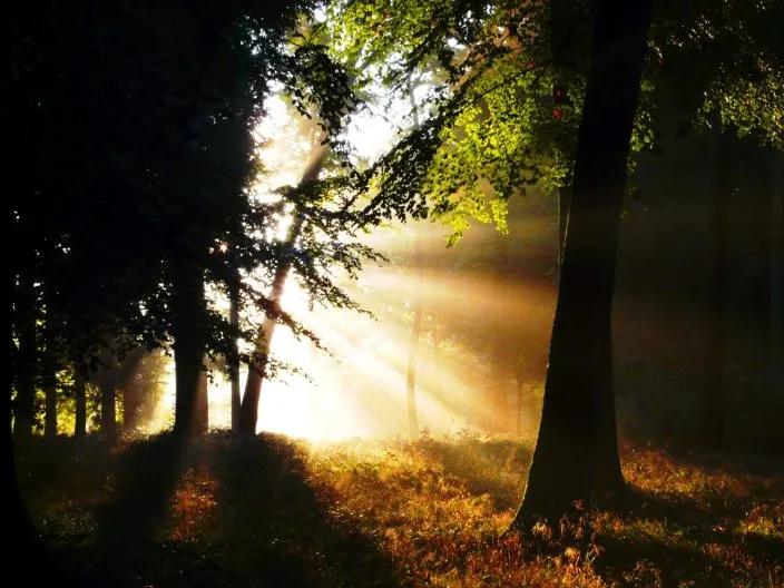 Symbole gastronomique – les moules-frites