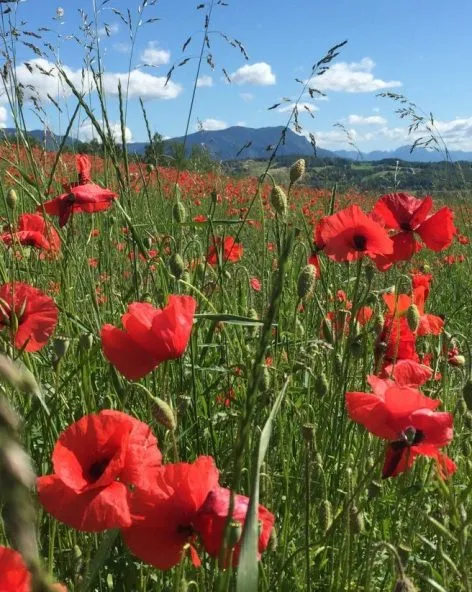 Destinations adaptées PMR