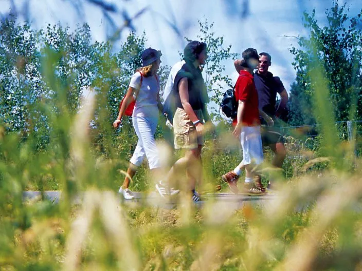 Top 10 des découvertes en Sologne