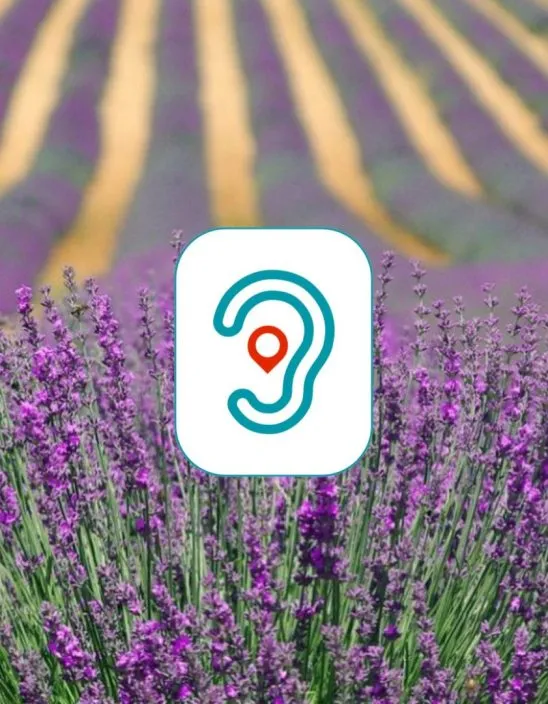 Service d’accessibilité auditive