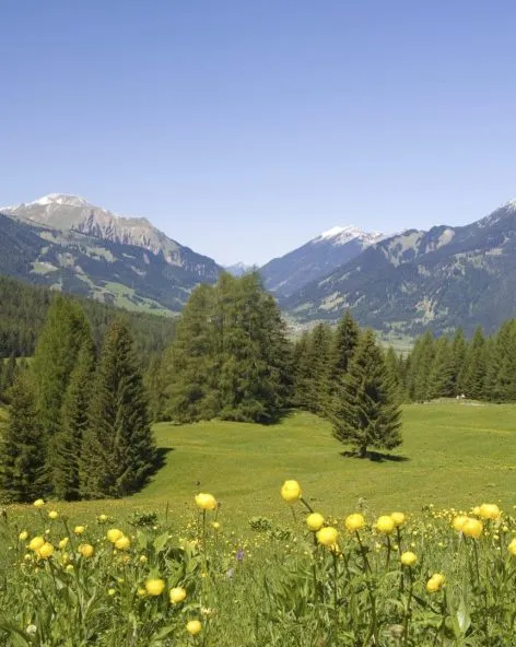 Vacances à la montagne en été