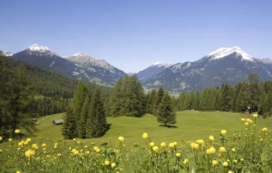 Vacances à la montagne en été