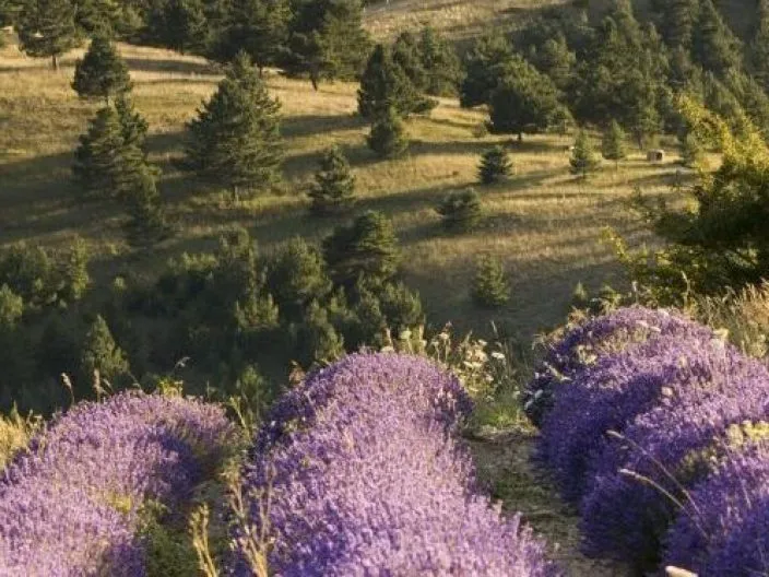 Les plus beaux road trips en France