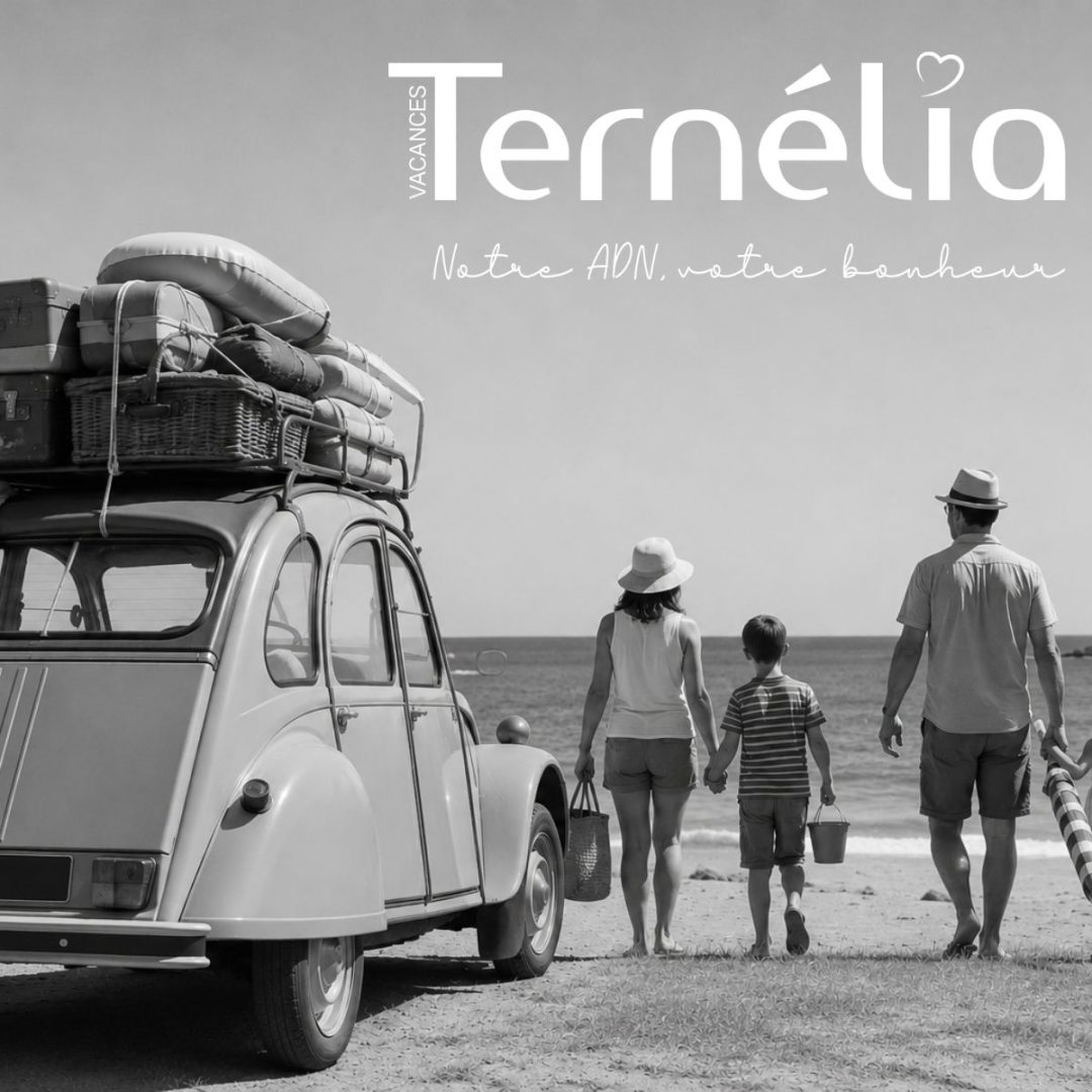 TERNELIA IMAGE