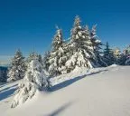 Vacances à la montagne