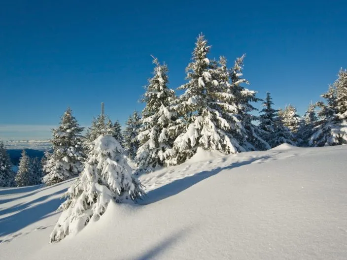 Guides pratiques : où partir à la montagne en hiver ?